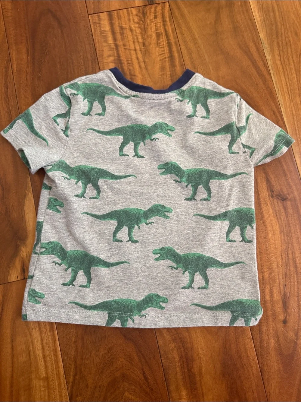 GAP Gray Tee with Green Dinosaur Print
